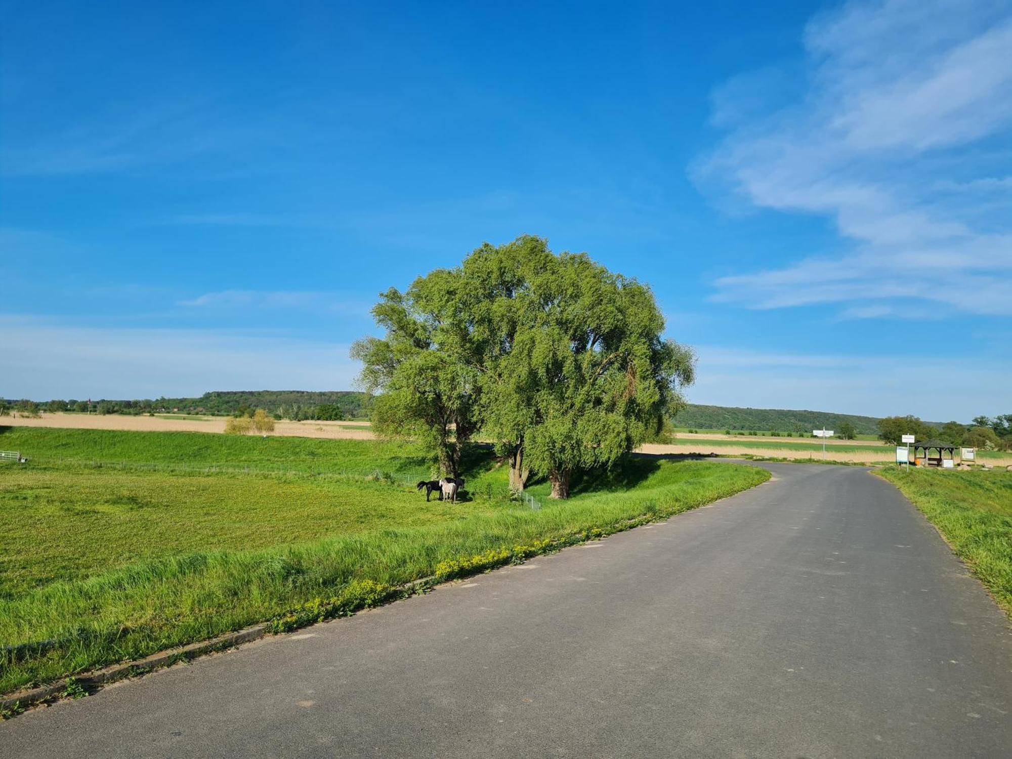 Ferienwohnungen Stolzenhagener 7 Lunow-Stolzenhagen Extérieur photo