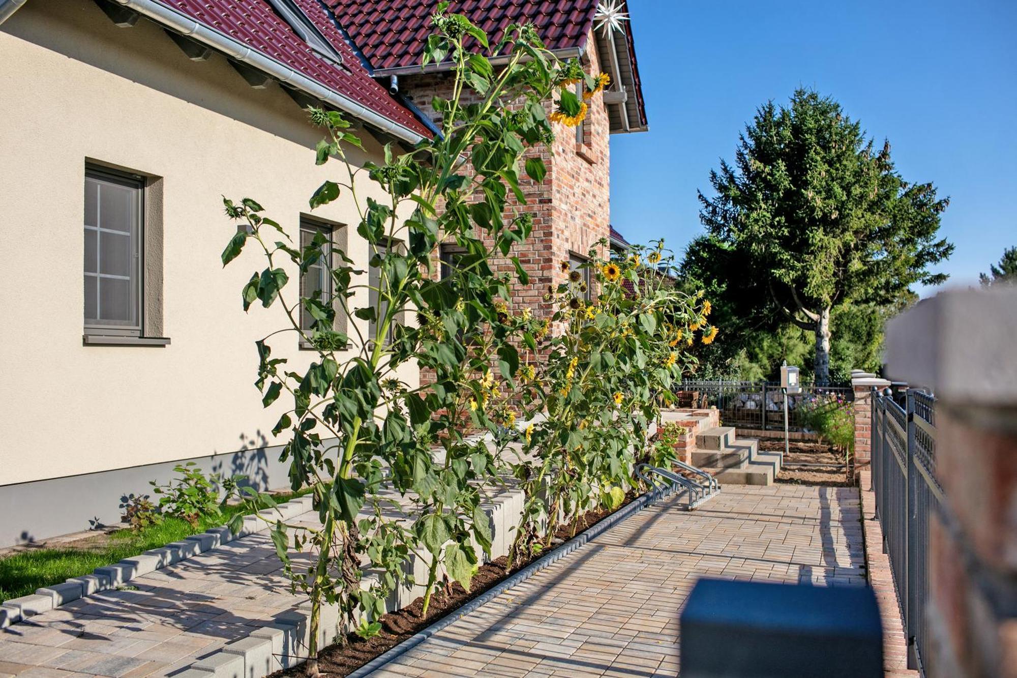 Ferienwohnungen Stolzenhagener 7 Lunow-Stolzenhagen Extérieur photo
